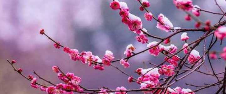 令人眷恋的季节