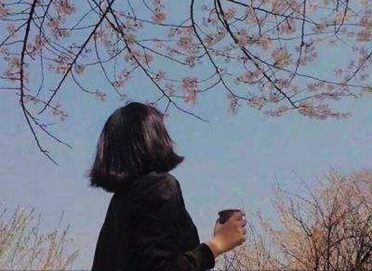 什么都不会过去 发生了就不会磨灭