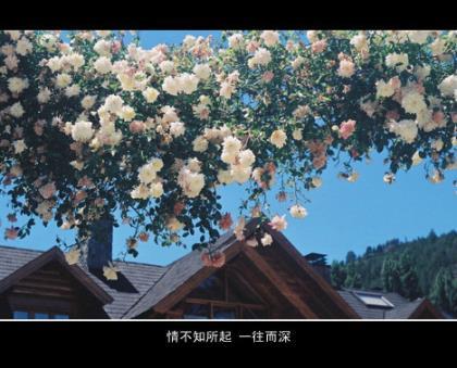 关于承诺的说说 遇上对的人的说说