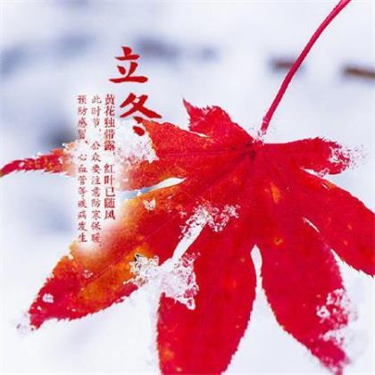 给时间一点时间的下一句