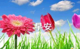 世界早安句子