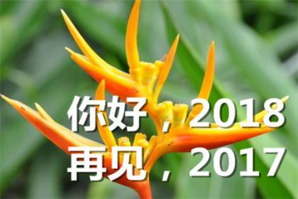 情感治愈系电台稿 情感电台治愈系文章