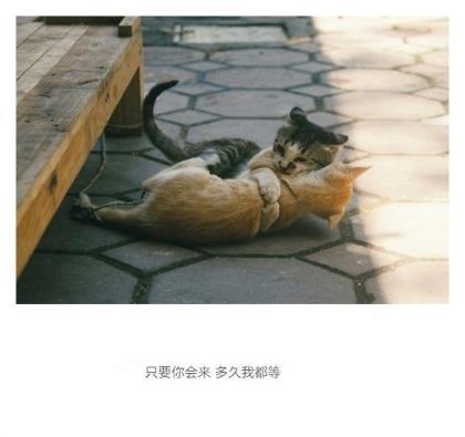 服装处理广告词 2020年经典广告语