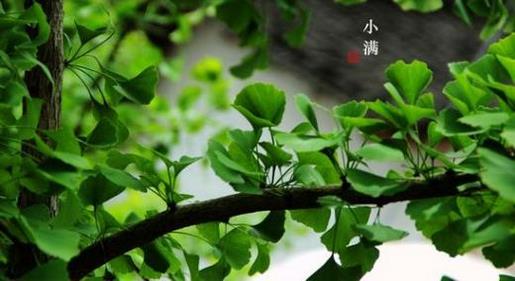 祝自己生日快乐的励志短句 兄弟们,让我们一展