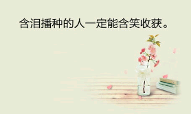 情场励志的句子