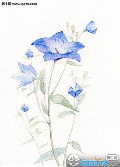 早安说说简短唯美句子