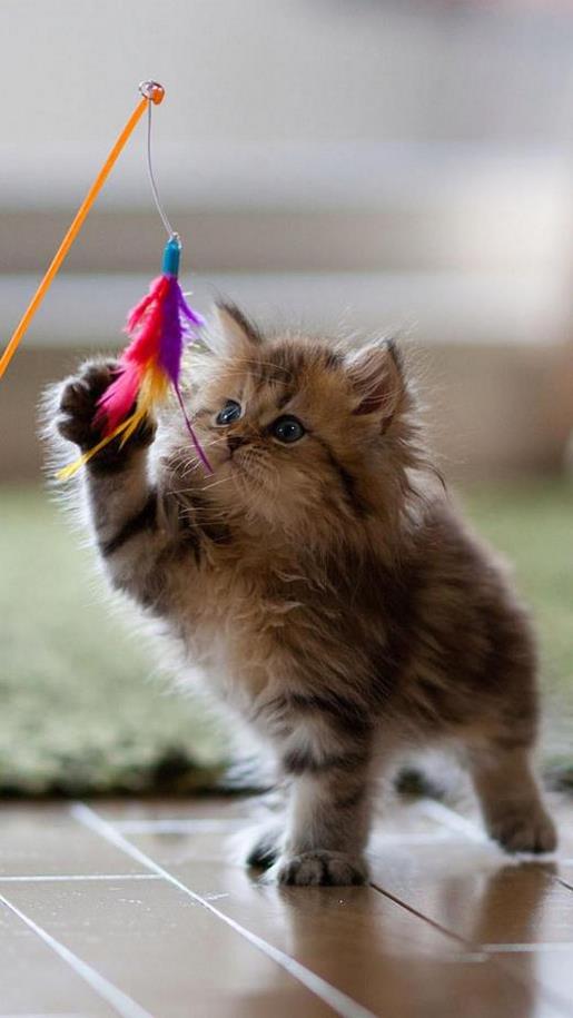 2020父亲节说说 个性说说心情句子大全