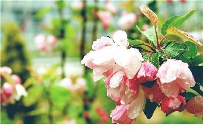 经典朋友圈短句说说 离职朋友圈说说文艺