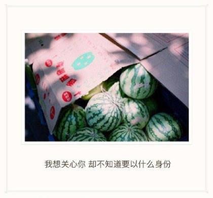 一句话心情签名语录 你给小草一点爱，小草给你