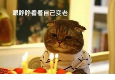 励志正能量早安短语 个签名心情短语励志