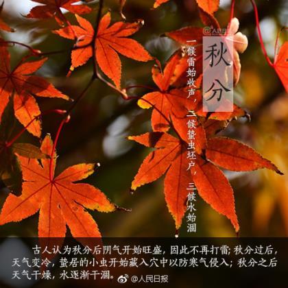 下雨天的伤感诗句