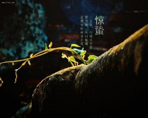 爱情励志说说心情短语