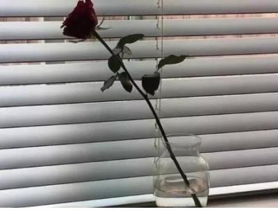 美好早安说说心情短语 女人简短早安正能量励志
