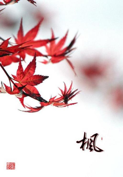 巩新亮身材越来越丰满 发自己身材好的说说