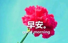 朋友间早安祝福温馨句子
