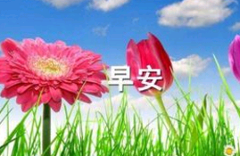 失恋早安朋友圈高质量句子