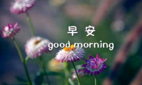 想你的句子早安短句最新