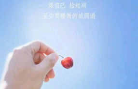 关于巅峰的励志句子赏析