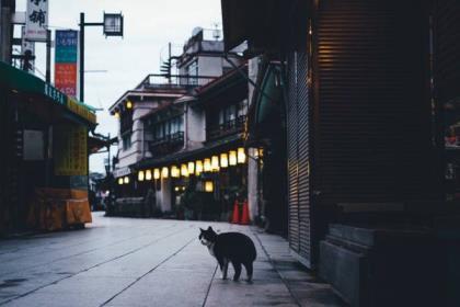 人生格言励志简短