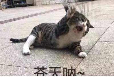 对生活励志的说说