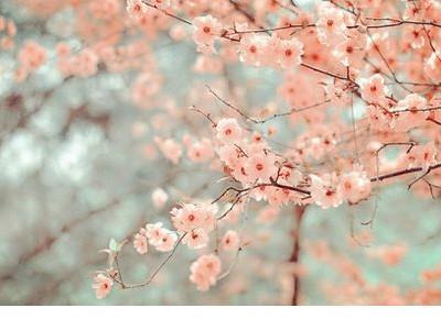 qq伤感说说男生带孤独 伤感文字控说说加图片