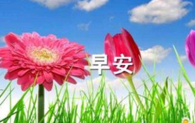 早安正能量句子 2020