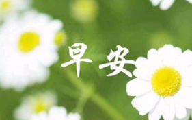 也许我真变了早安句子