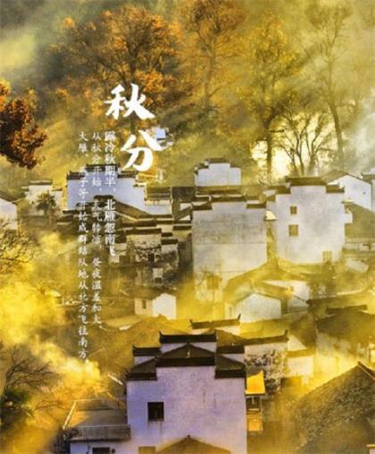 形容贝壳的句子 描写贝壳的好词好句好段