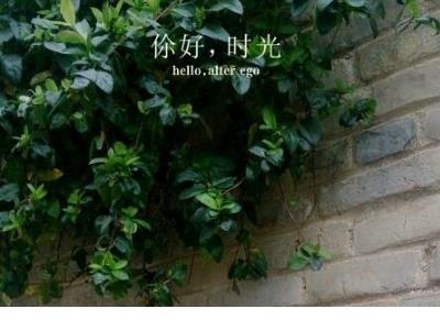 适合晚上发朋友圈励志的话语 ⊙两人相爱是，渴