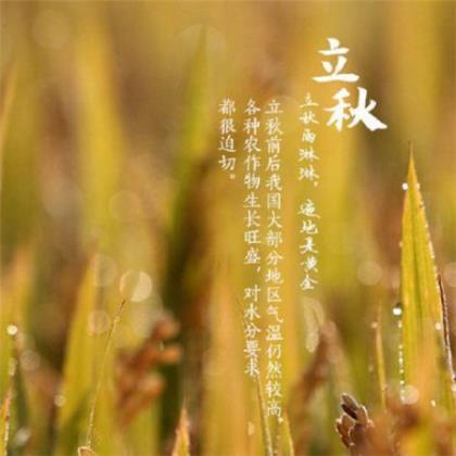 天冷了关心朋友的留言 天冷了降温了关心短信