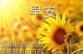 激励励志的早安句子