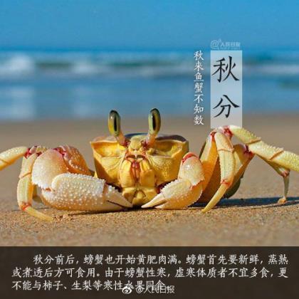 扣扣个性签名霸气超拽 扣扣签名较成熟的句子