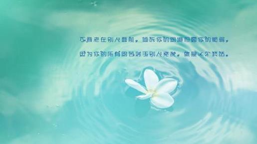梦想很美好现实很残酷励志句子 为梦想奋斗作文