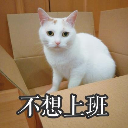 毕淑敏经典语录大全 如果你很聪明，为什么你不