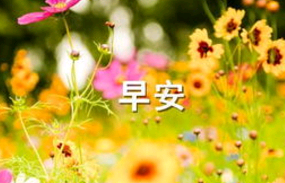 问候早安的励志句子_手机版