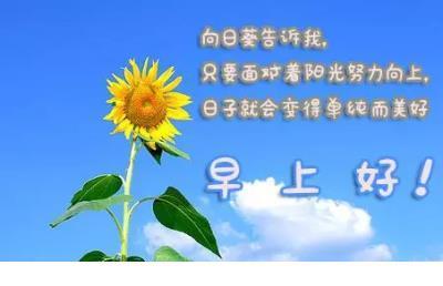 心灵鸡汤经典励志语录 十个字以内一句话经典语