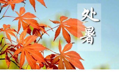 晚上孤独的句子说说心情