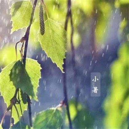 微信朋友圈经典语录和配图