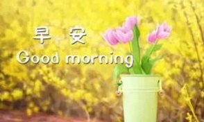 早安心语暖心句子大全