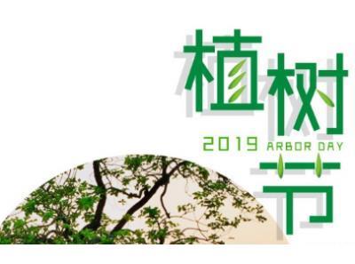 关于青春的唯美句子简短 三八妇女节，祝你一定
