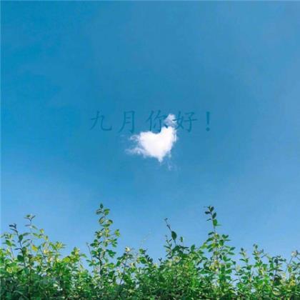 朋友圈很火的句子说说