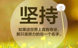 关于熊本熊的励志句子