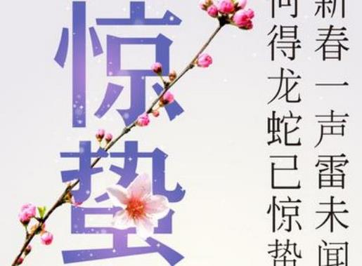 激励人努力奋斗的句子 人善还未来,恶已去
