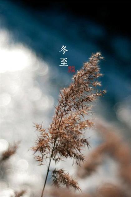 生活励志说说致自己短语 关于影子的说说