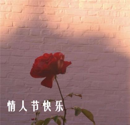 太难过的回忆，怎么去忘记