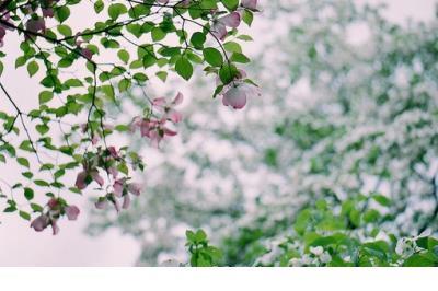 形容中秋节的月亮 描写中秋节月亮的优美句子
