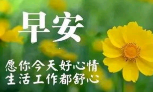 发重阳节早安的句子