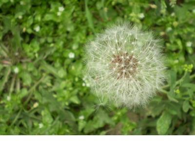 适合深夜发朋友圈走心的句子 转发点赞活动的文