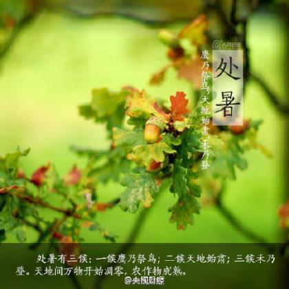 励志图片大全带字 正能量激励人的好句子
