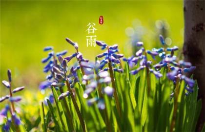 2020早安励志图片 但在看过之后,我从未忘记过你